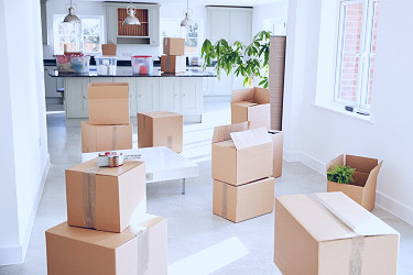 Best Long Distance Moving Companies (July 2023)